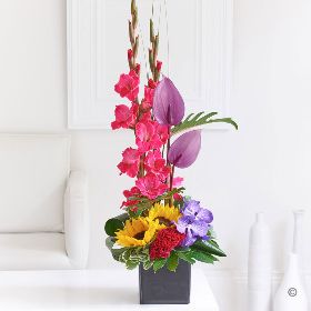 Gladioli & Summer Orchid Arrangement  H62421MS