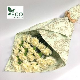 Simply ECO White Carnations 