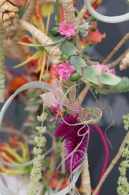 Rebecca Tiller, The Lavender Hill Company, Farnham, — Bronze Medal