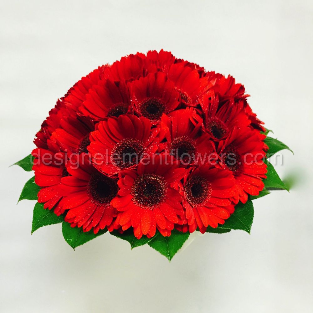 Red Germini Bridal Bouquet 