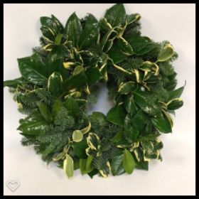 Plain Holly Wreath 