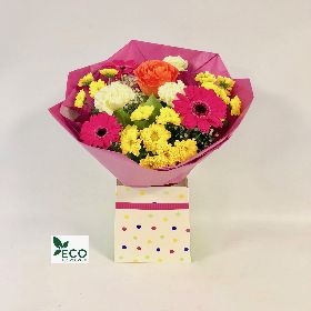 Petite Burst of Colour Gift Box STANDARD