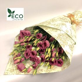 Simply ECO Pink Eustoma 