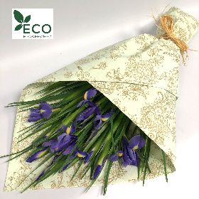 Simply ECO Blue Iris 