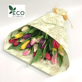 Simply ECO Mixed Tulips 