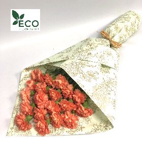 Simply ECO Orange Carnations 