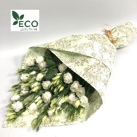 Simply ECO White Eustoma 