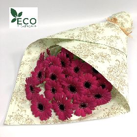 Simple ECO Cerise Germini