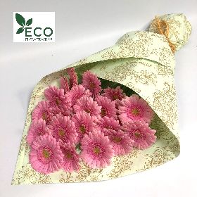 Simply ECO Pink Germini 