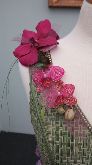 Lucinda Knapman Broadwater Flowers -Silver Medal Winner 