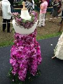 .Clara quigley The Flower Boutique Silver Medal Winner 