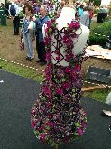 Vicky Rymell Hubbards Florist  Silver Medal Winner 
