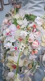 Alison Penno, Flower Scene Silver Gilt Medal 
