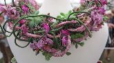 Clara quigley The Flower Boutique Silver Medal Winner 