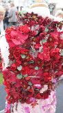 Heather Rogers  Springbank flowers -Silver Medal Winner 