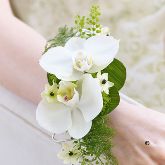 White Orchid & Fern Wrist Corsage From £24.99