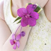 Pink Orchid Wrist Corsage From £19.99