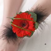 Red Germini & Feather Wrist Corsage From £14.99