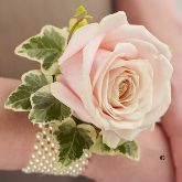 Soft Pink Rose Wrist Corsage from £14.99