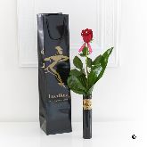 £19.99 Single Kiss Rose Vase  V40011RS