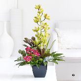 £36.99 Happy Hearts Day Orchid & Gloriosa Arrangement  V40901MS