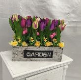 Tulip Box of Flowers 