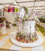 Tea Cup with flowers 