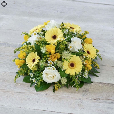 Scented Posy Yellow & White