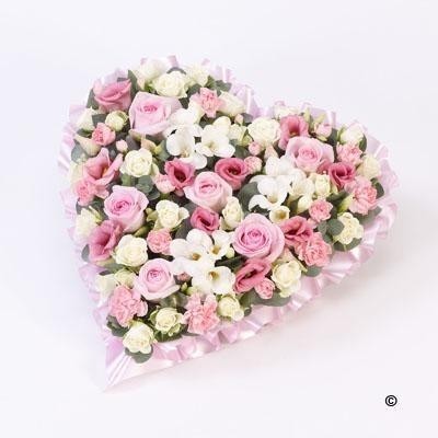 Pastel Heart Pink & White
