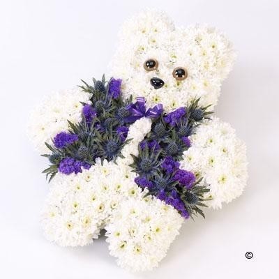 Teddy Bear Blue & White