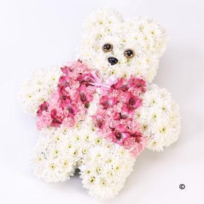 Teddy Bear Pink & White