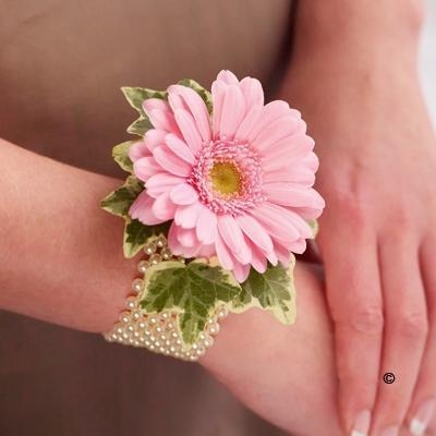 Pale Pink Germini and Pearl Wrist Corsage hand delivered in manchester , irlam , cadishead , salford , worsley , stretford , urmston , boothstown , flixton , partington , sale 