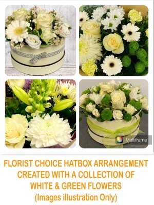 Florist Choice Hatbox Arrangement in Whites and Greens