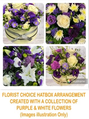 Florist Choice Hatbox Arrangement Purple, Green & Whites 