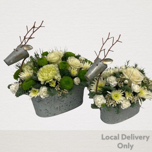 LOCAL Winter Reindeer Arrangement Small is delivered locally in Salford , irlam , Manchester 