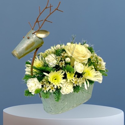 LOCAL Winter Reindeer Arrangement Small is delivered locally in Salford , irlam , Manchester 