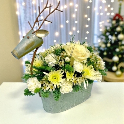 LOCAL Winter Reindeer Arrangement Small is delivered locally in Salford , irlam , Manchester 