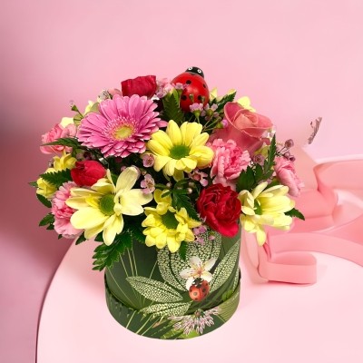 LOCAL Mothers Day Ladybird Medium Hatbox  