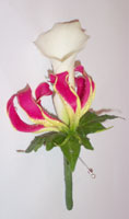 Buttonhole Example 1