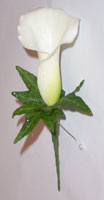 Buttonhole Example 2