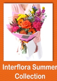 INTERFLORA SUMMER