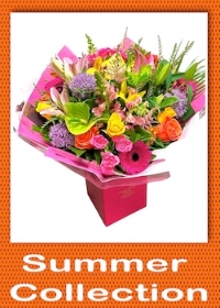LOCAL SUMMER COLLECTION