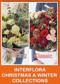 INTERFLORA CHRISTMAS AND WINTER