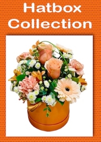 LOCAL HATBOX ARRANGEMENTS
