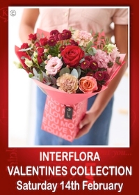 INTERFLORA VALENTINES
