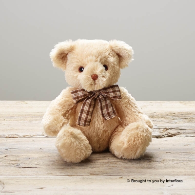 Chandler Bear