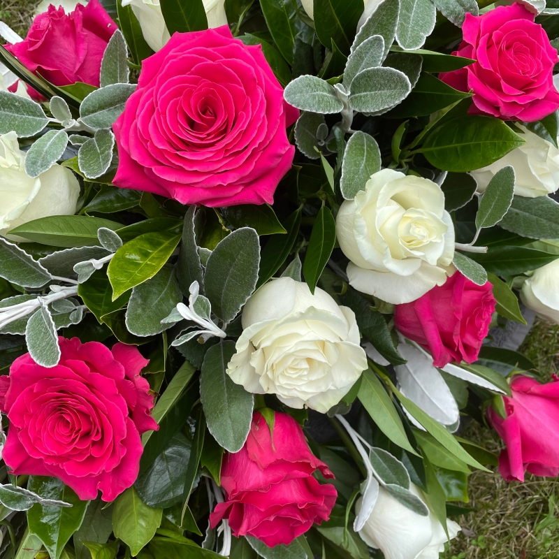 LOCAL Cerise Rose & White Rose Coffin Spray 