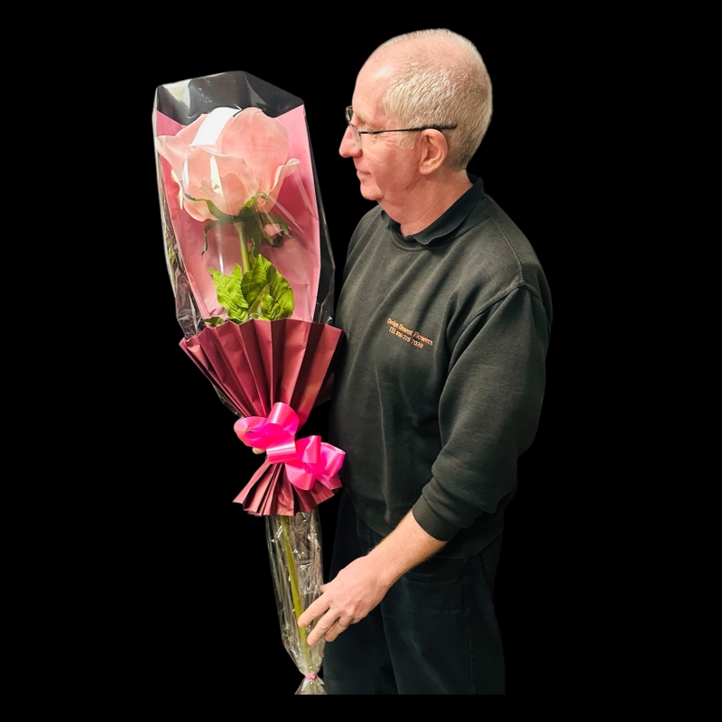 LOCAL MOTHERS LARGE SILK PINK ROSE 