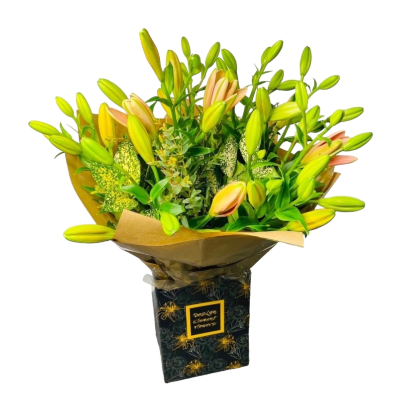 LOCAL Rainbow of Mixed Asiatic lily In the Design Element Flowers Box