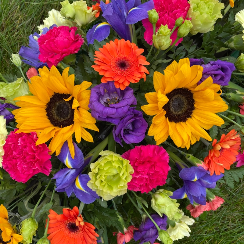 LOCAL Sunflower, Blue Iris , Orange and Cerise Pink Coffin Spray 